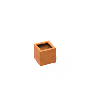 CAWC10.png - CAWC10