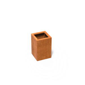 CAWC10.1.png - CAWC10.1