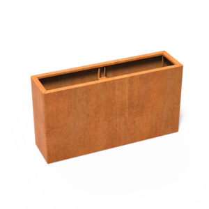 CAWC24.1.png - CAWC24.1