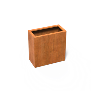 CAWC24.4.png - CAWC24.4