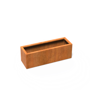 CAWC25.2.png - CAWC25.2