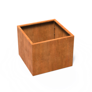 CAWC5.1.png - CAWC5.1