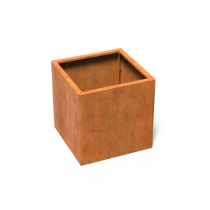 CAWC6.1.png - CAWC6.1