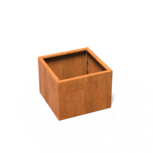 CAWC6.2.png - CAWC6.2