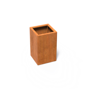 CAWC9.1.png - CAWC9.1