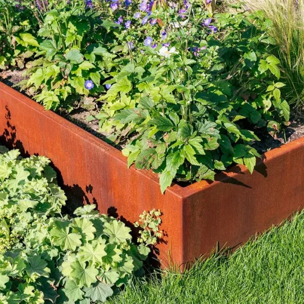 Plantenbak CARREZ cortenstaal zonder bodem - Afbeelding 7